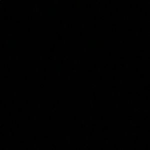 Meet your Posher, Lilly